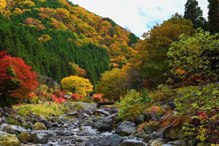 Fukuchi Gorge