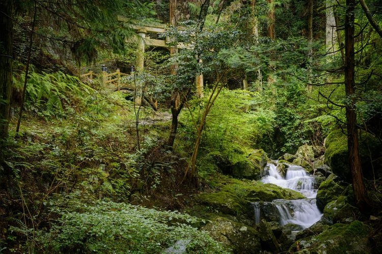 Nanashu-no-taki (Seven Kinds of Waterfalls)