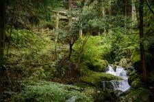 Tourist destination images of Nanashu-no-taki (Seven Kinds of Waterfalls)(1)