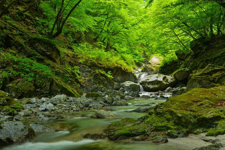 Ishigakagawa Valley