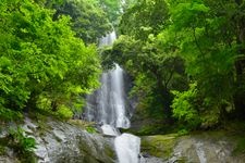 Tourist destination images of Saruodaki Falls(2)