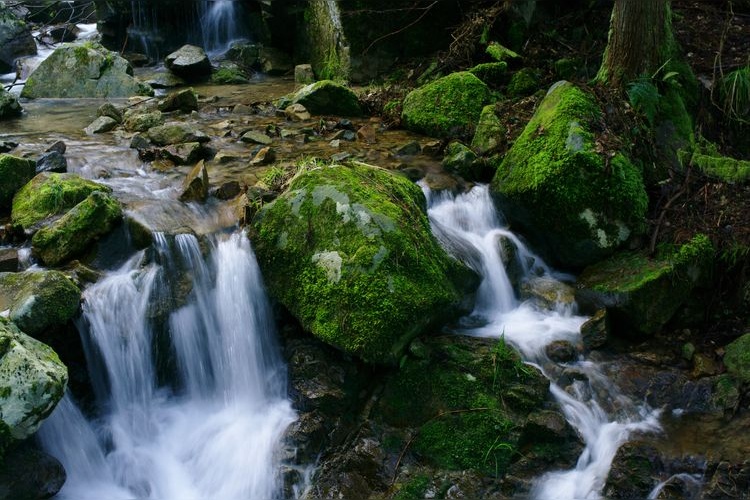 Tourist destination images of Jōsei-taki Waterfall(1)