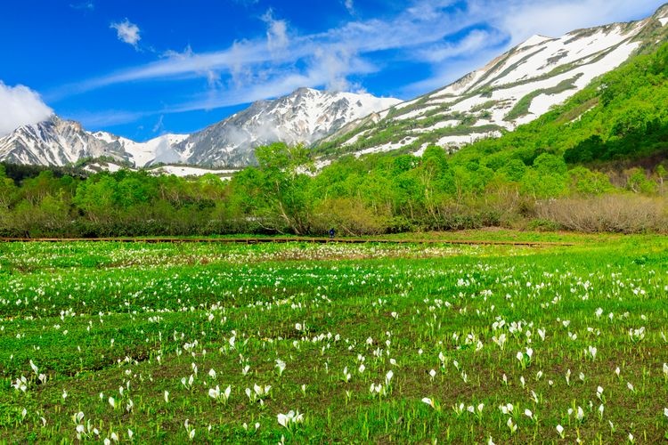 Tsugaike Nature Park