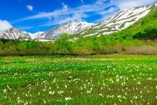 Tourist destination images of Tsugaike Nature Park(1)