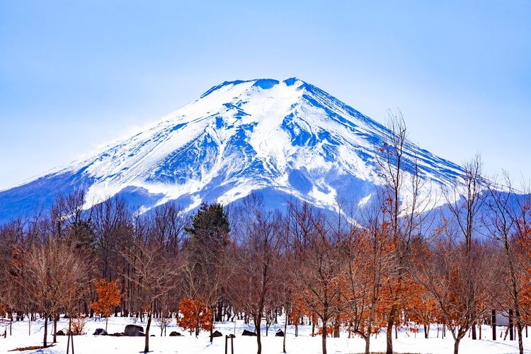 Fuji Sansaku Park