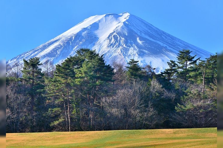 Suwa no Mori Natural Park