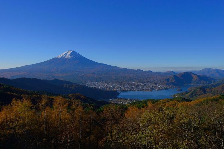 Nishikawa Shin-kura Forest Road