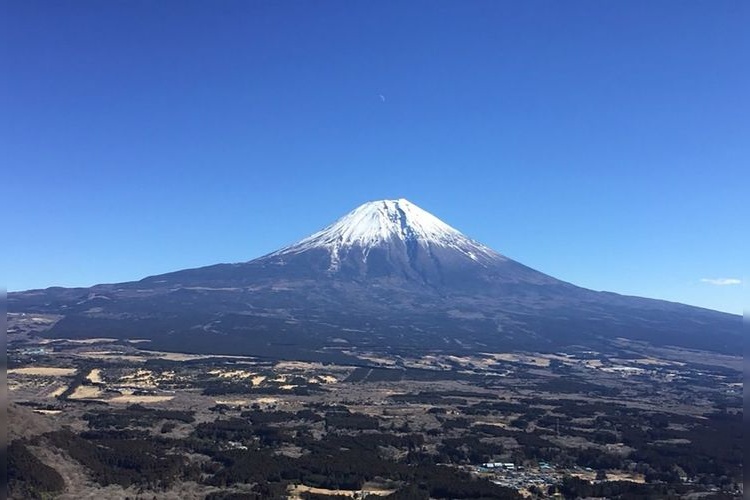 Yu no Oku Inogashira Forest Road