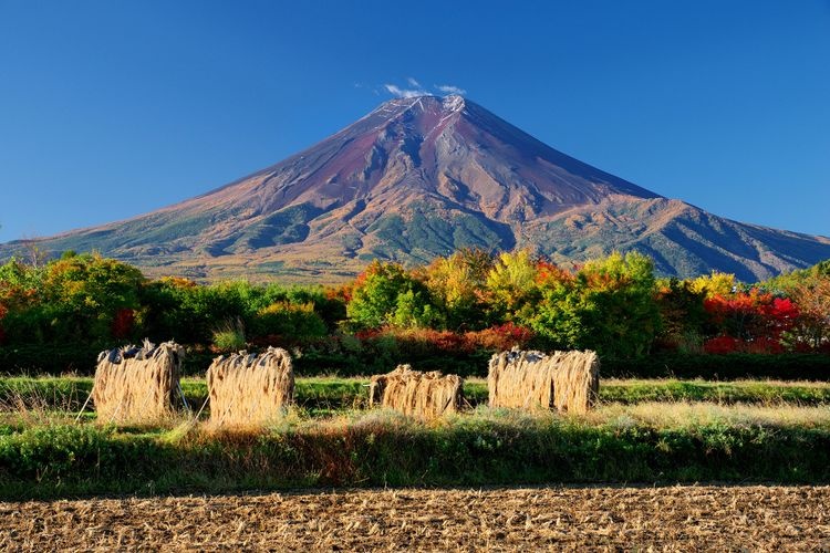 Suwa no Mori Natural Park