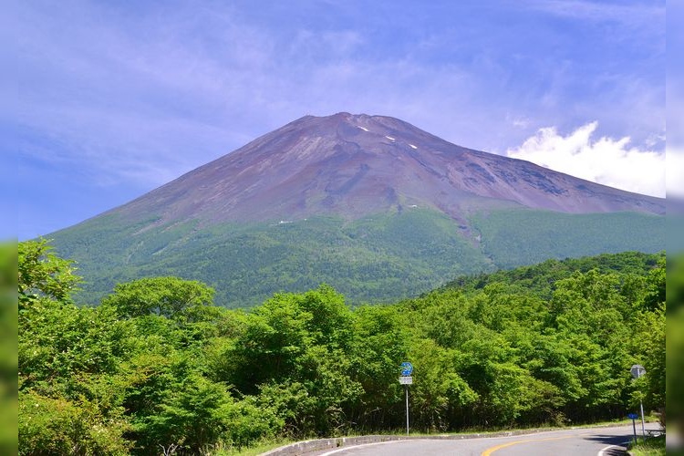 Mount Fuji Skyline