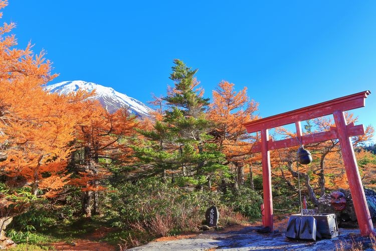 Tourist destination images of Fuji Subaru Line Tollgate(2)