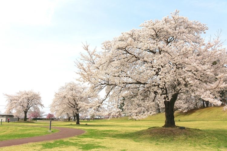 Torimiyama Park