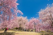 Tourist destination images of Takami no Sato(1)