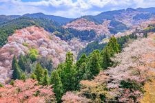 Tourist destination images of Shimo Senbon Observatory(2)