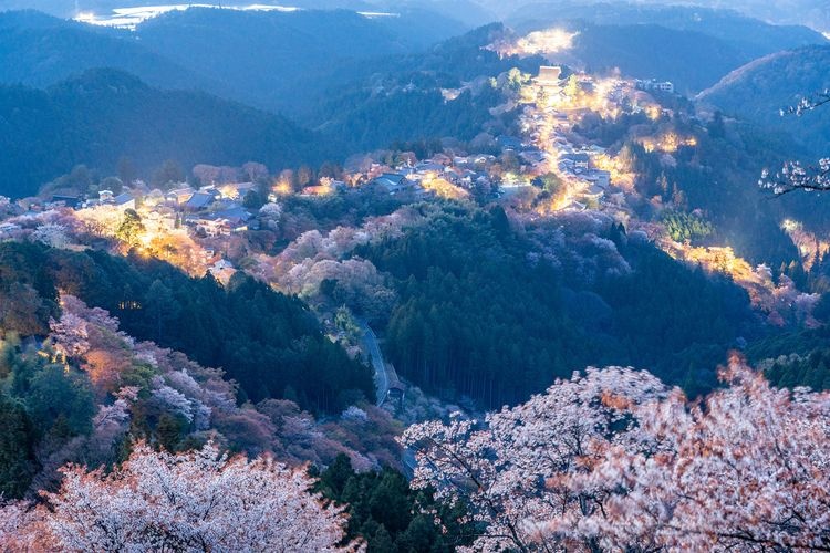 Hanayagura Observatory