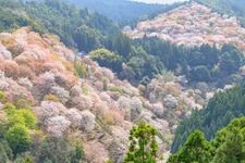 Tourist destination images of Hanayagura Observatory(1)