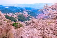 Tourist destination images of Hanayagura Observatory(2)