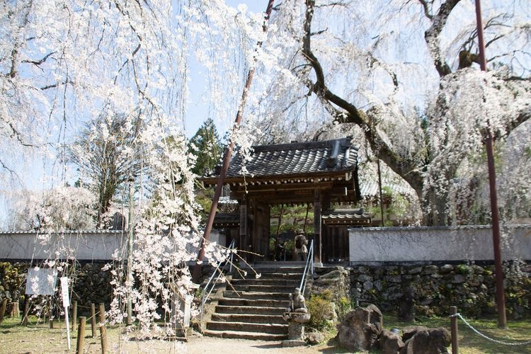 Seiun-ji Temple