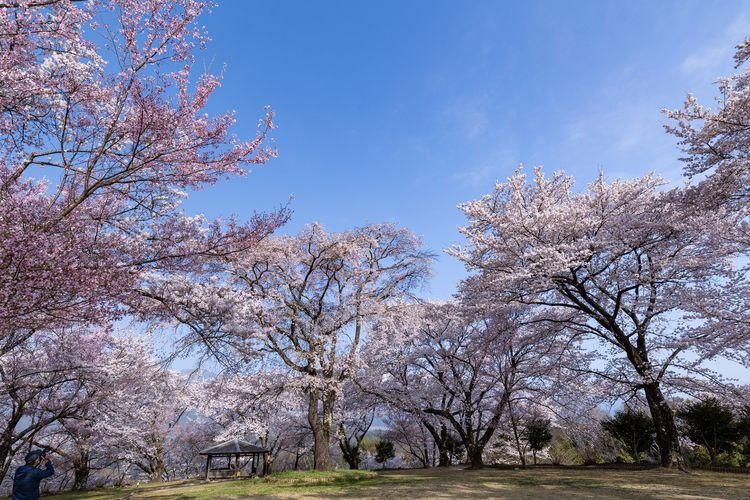 Ōkusa Castle Ruins Park