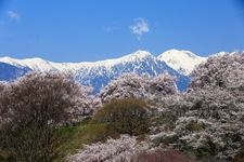 大草城址公園の観光地画像(2)