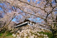 Tourist destination images of Yagyoji Temple(3)