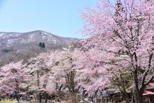 Tourist destination images of Jōrinji Temple(2)