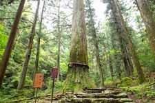 鳳来寺山の観光地画像(2)