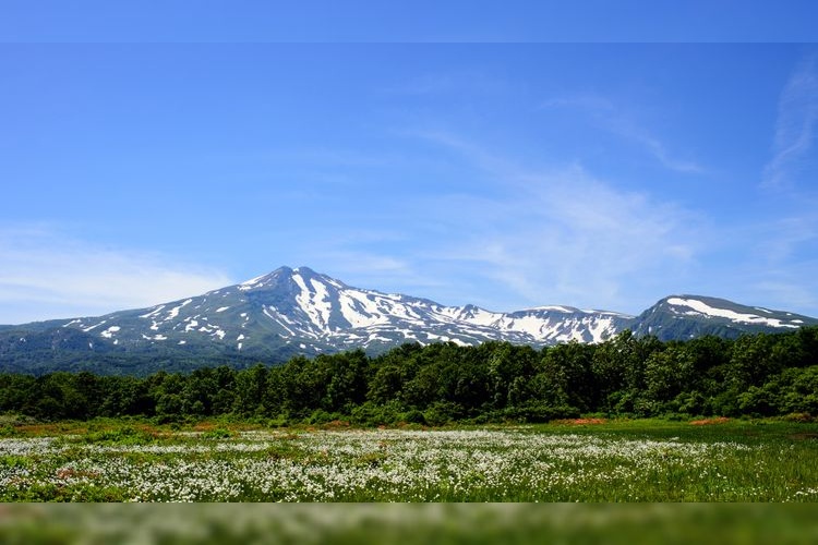 Tourist destination images of Kusanoki-dai Marsh(2)