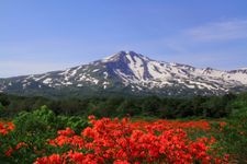 Tourist destination images of Kusanoki-dai Marsh(1)