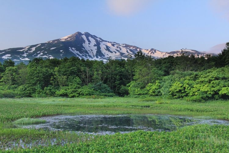 桑之木台湿原