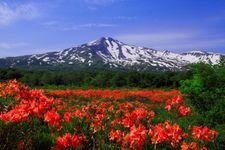 Tourist destination images of Kusanoki-dai Marsh(2)