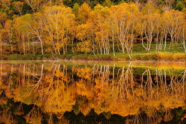 Kidoike Pond