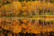 Tourist destination images of Kidoike Pond(1)