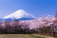 Tourist destination images of Yagizaki Park(4)