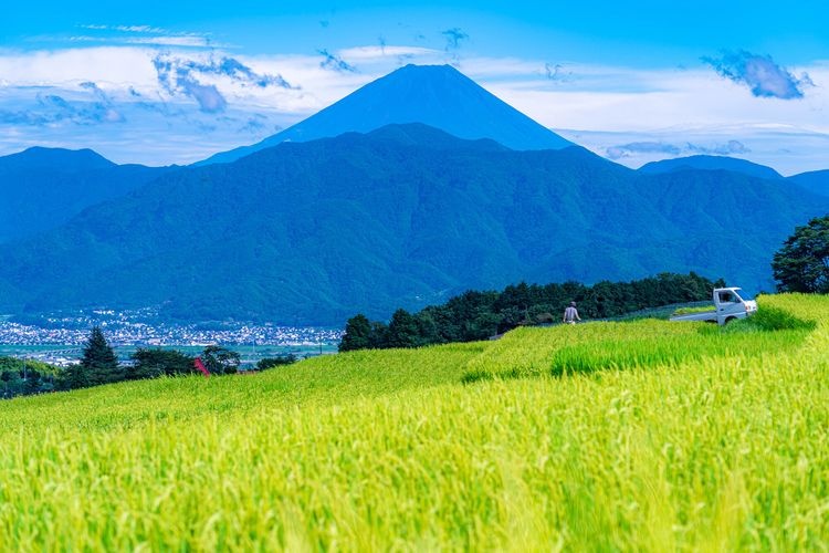 Nakano's Rice Terraces