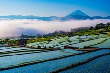 Tourist destination images of Nakano's Rice Terraces(2)