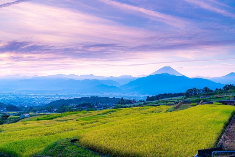 Tourist destination images of Nakano's Rice Terraces(3)