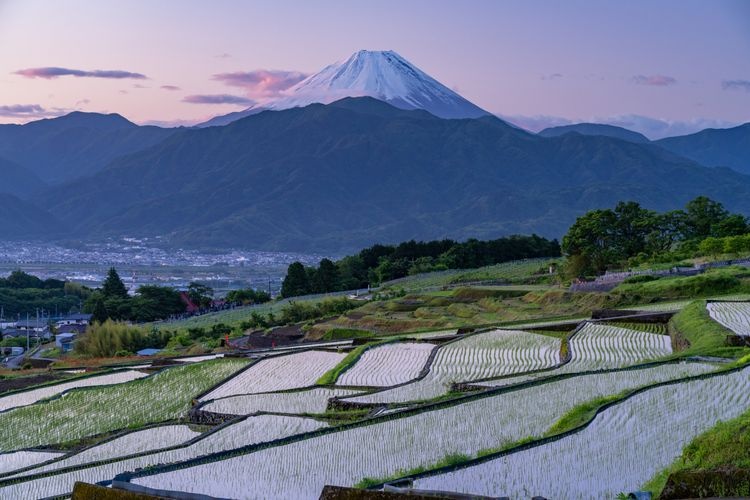 Nakano's Rice Terraces