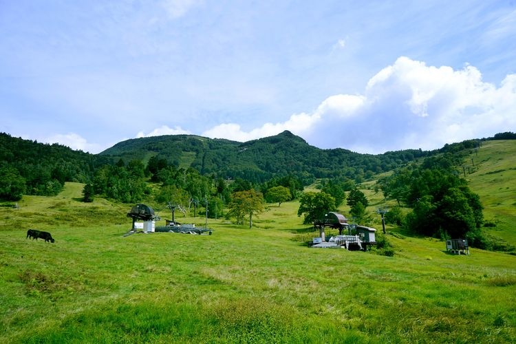 Yamada Ranch