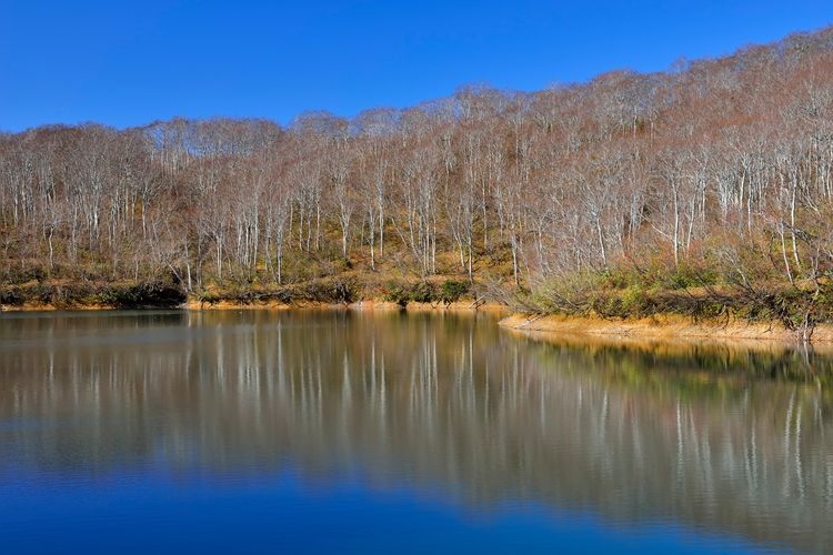 Chaya-ike Pond