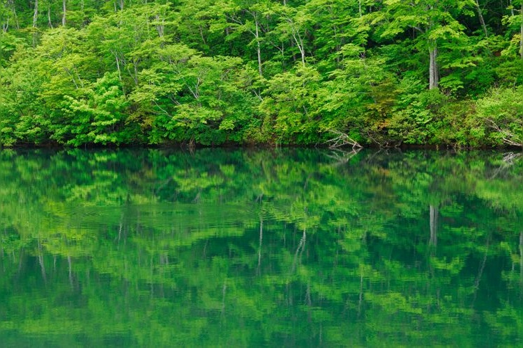 Tourist destination images of Chaya-ike Pond(2)