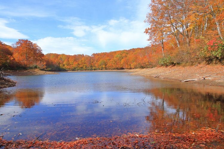 Chaya-ike Pond