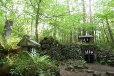 Tourist destination images of Yoshida Lava Tree Mold(2)