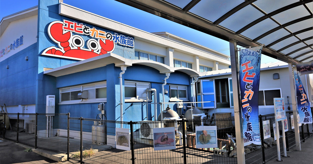 水族館いかがですか？ 初めての水族館🐟🐠🐡