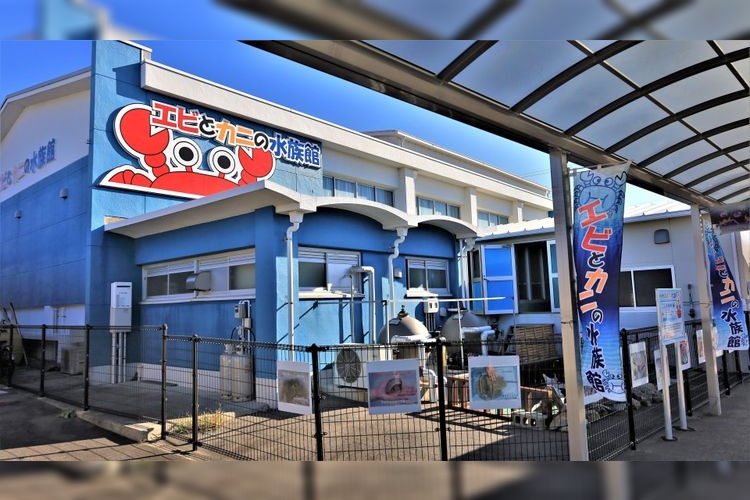 Susami Town Shrimp and Crab Aquarium