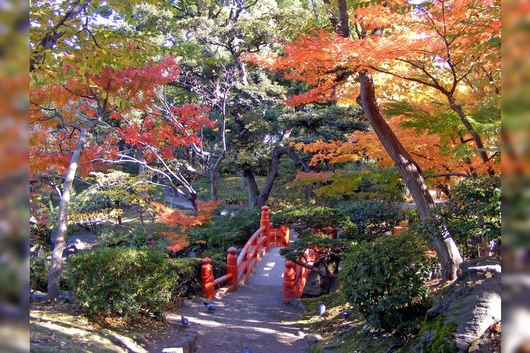 Kyū Yasuda Garden