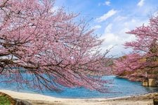 青木湖的旅游景点图片(1)