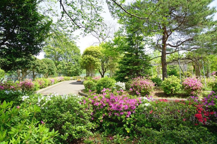 Shisei Kinen Koen (Municipal Commemorative Park)