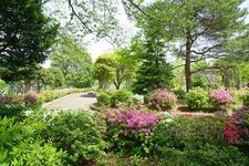 Tourist destination images of Shisei Kinen Koen (Municipal Commemorative Park)(1)