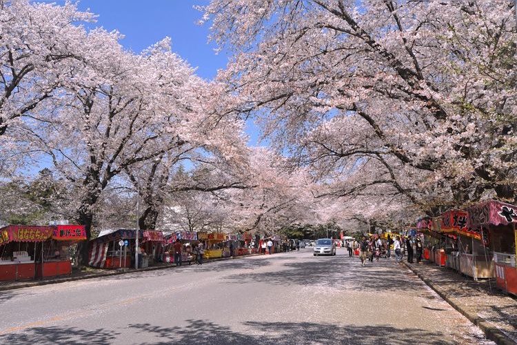 Kobayashi Ranch